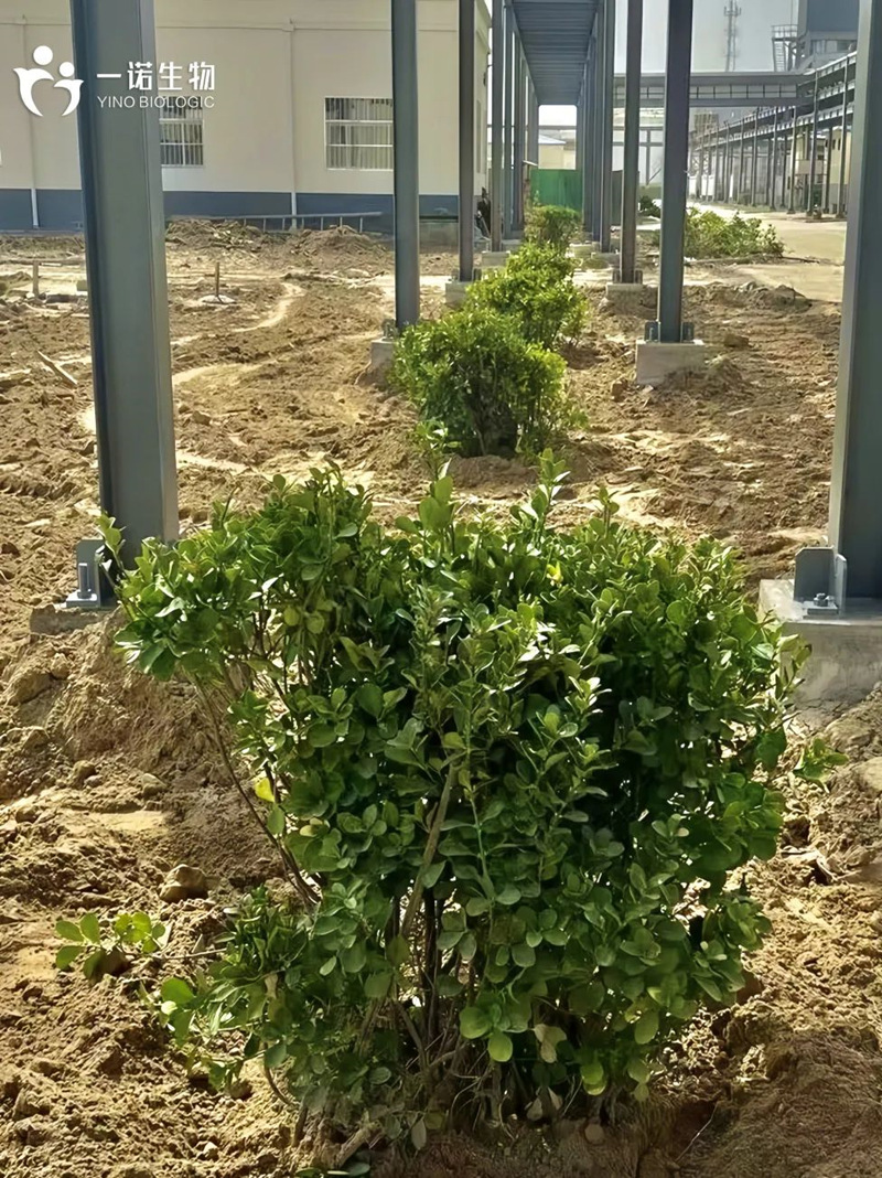 綠色工廠實踐,綠色工廠建設,生物基材料廠家,生產廠家